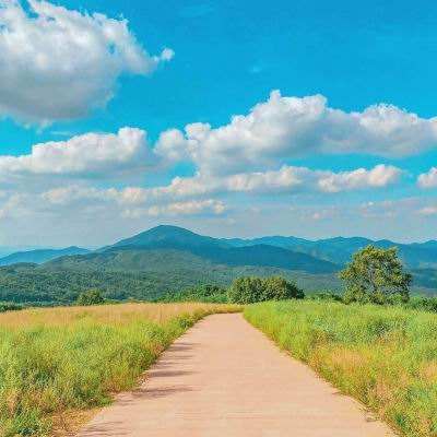 雷泽体育官方入口