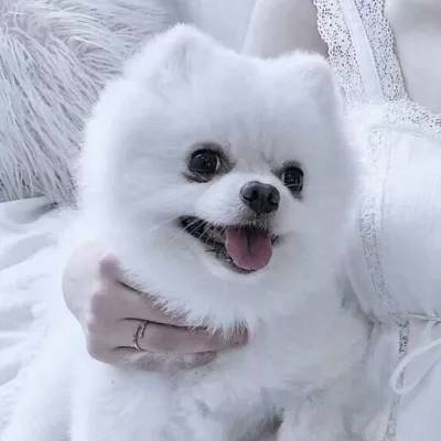 bat365官方网页版