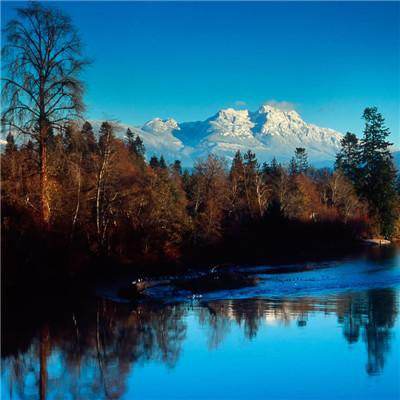 竞彩足球app官方