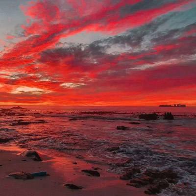 威尼斯软件·下载截图