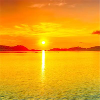 管家婆期期四肖四码中特管家手机app下载