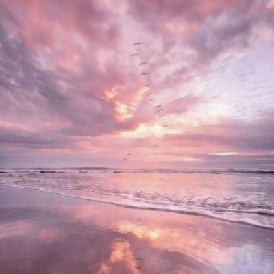 半岛综合app官网登录截图