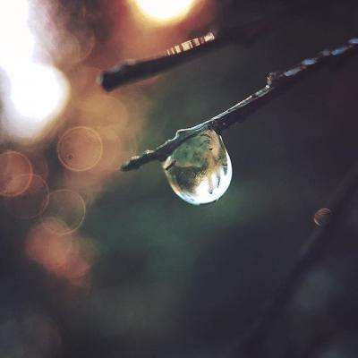 AG大厅网址下载手机版